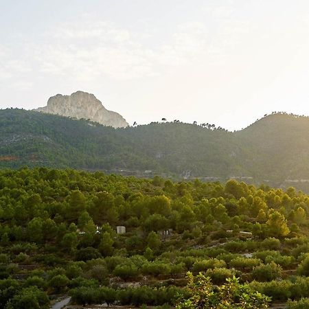 Casa Rural La Canal De Salem Екстер'єр фото