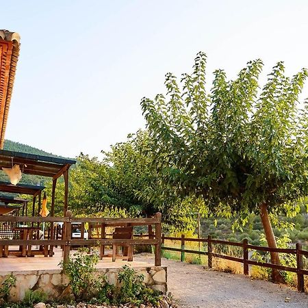 Casa Rural La Canal De Salem Екстер'єр фото
