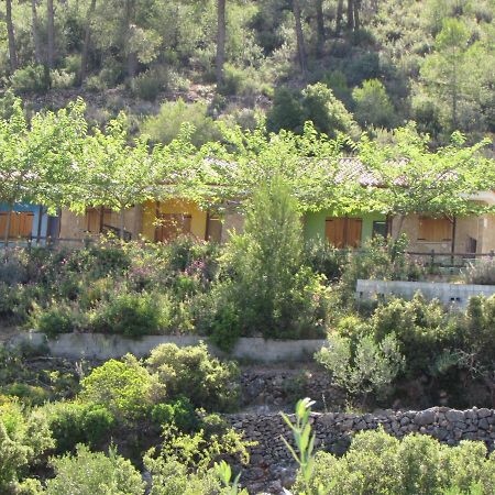 Casa Rural La Canal De Salem Екстер'єр фото